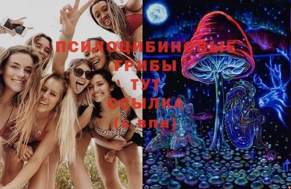 а пвп мука Бородино