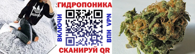 omg ССЫЛКА  Усолье  Канабис Amnesia  сколько стоит 